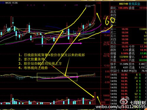 002656深度分析 002656深度分析