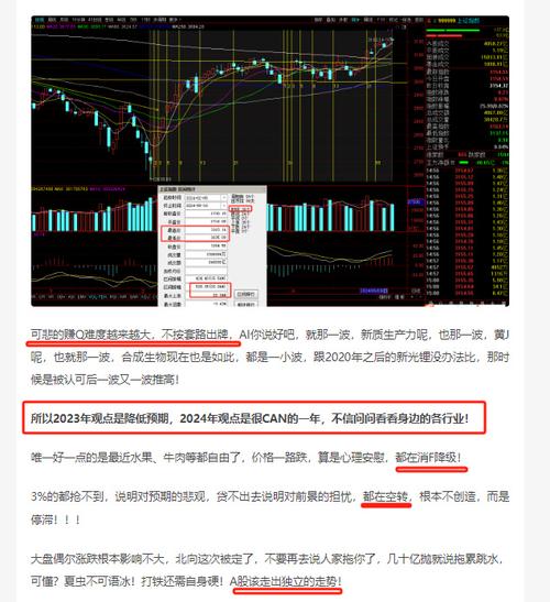 003023股票分析 003023股票分析