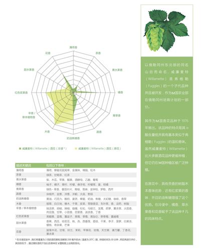 啤酒花的作用 啤酒花的作用