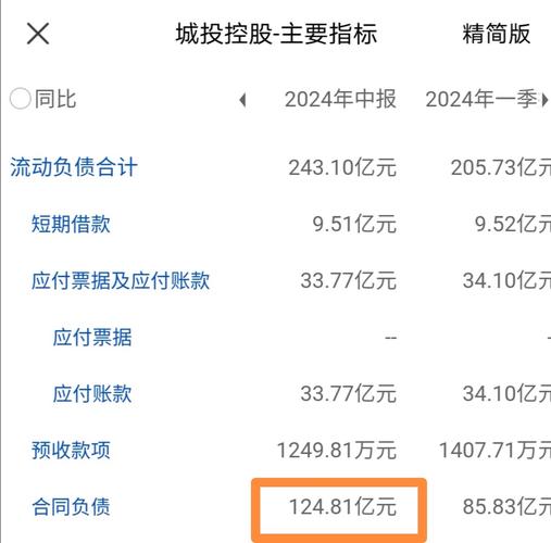 城投控股a股 城投控股a股