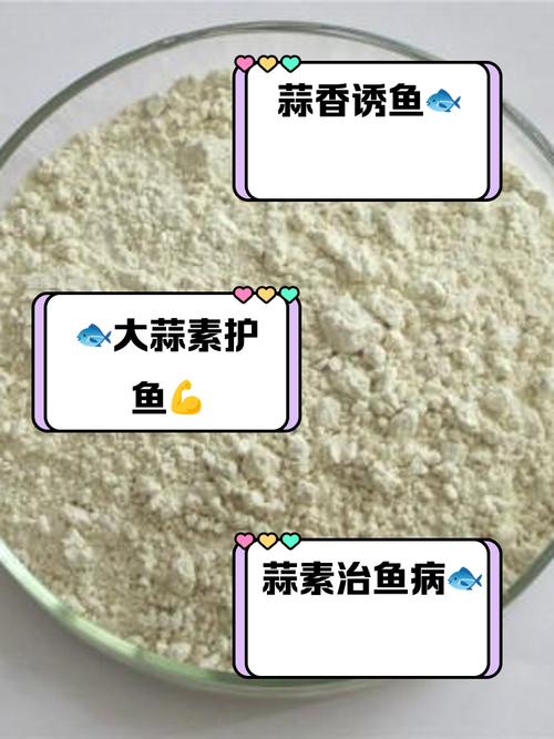 天天吃蒜對身體有什么壞處，天天釣魚