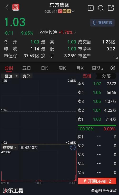 東方市場股票最高多少